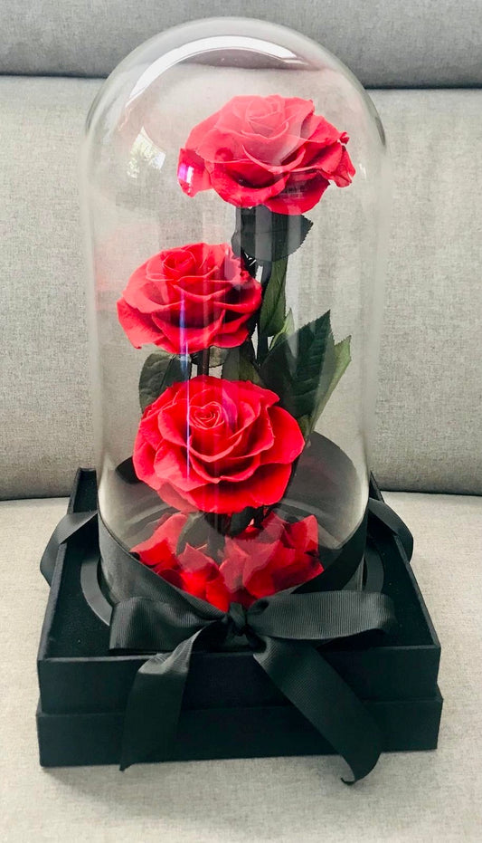 Everlasting Rose Dome featuring three preserved red roses displayed under a clear glass dome with a premium base.