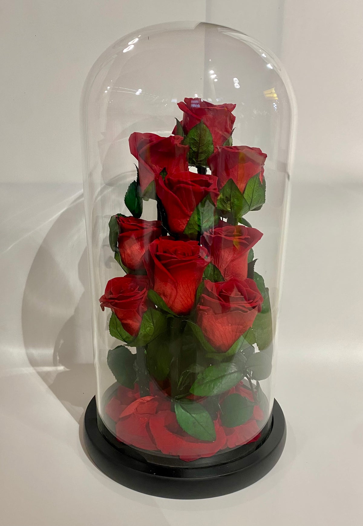 Everlasting Rose Dome featuring nine preserved red roses arranged under a clear glass dome with a premium base
