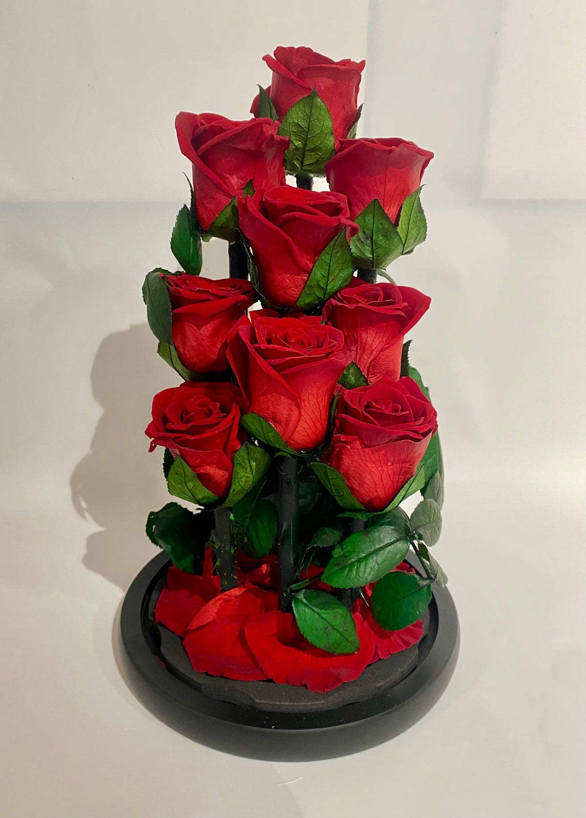 Close‑up of nine preserved red roses arranged together, showing rich colour and detailed petal texture