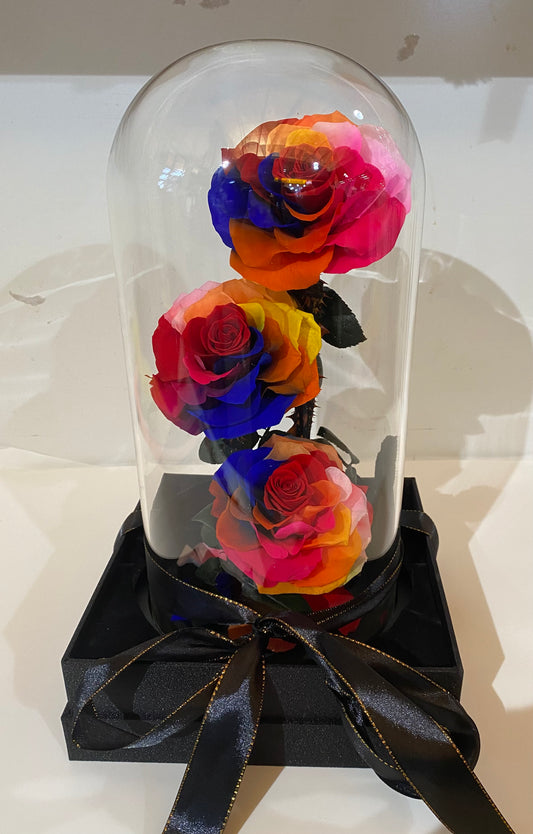 Everlasting Rose Dome featuring three preserved rainbow roses displayed under a clear glass dome with a premium base.