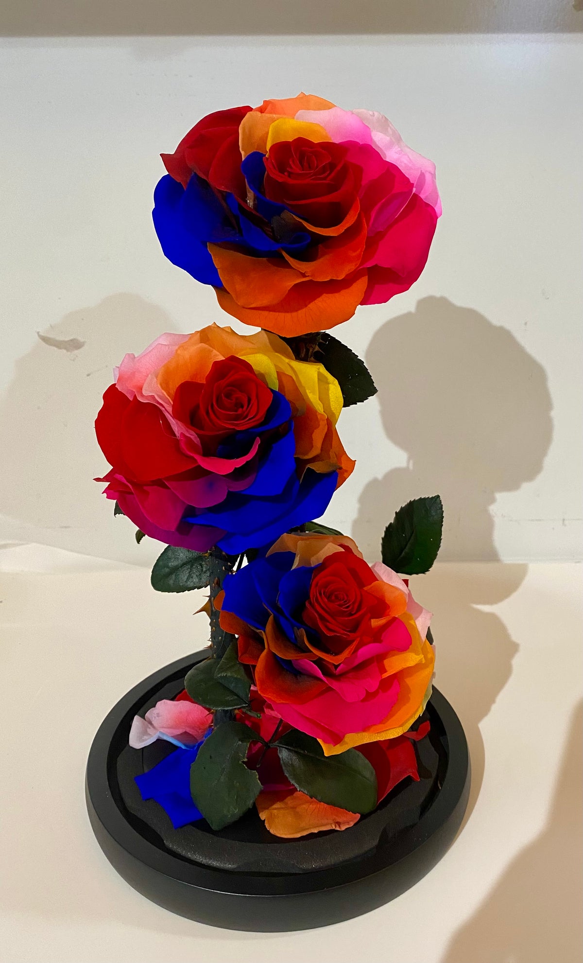 Close‑up of three preserved rainbow roses arranged together, showing vibrant colours and detailed petal texture