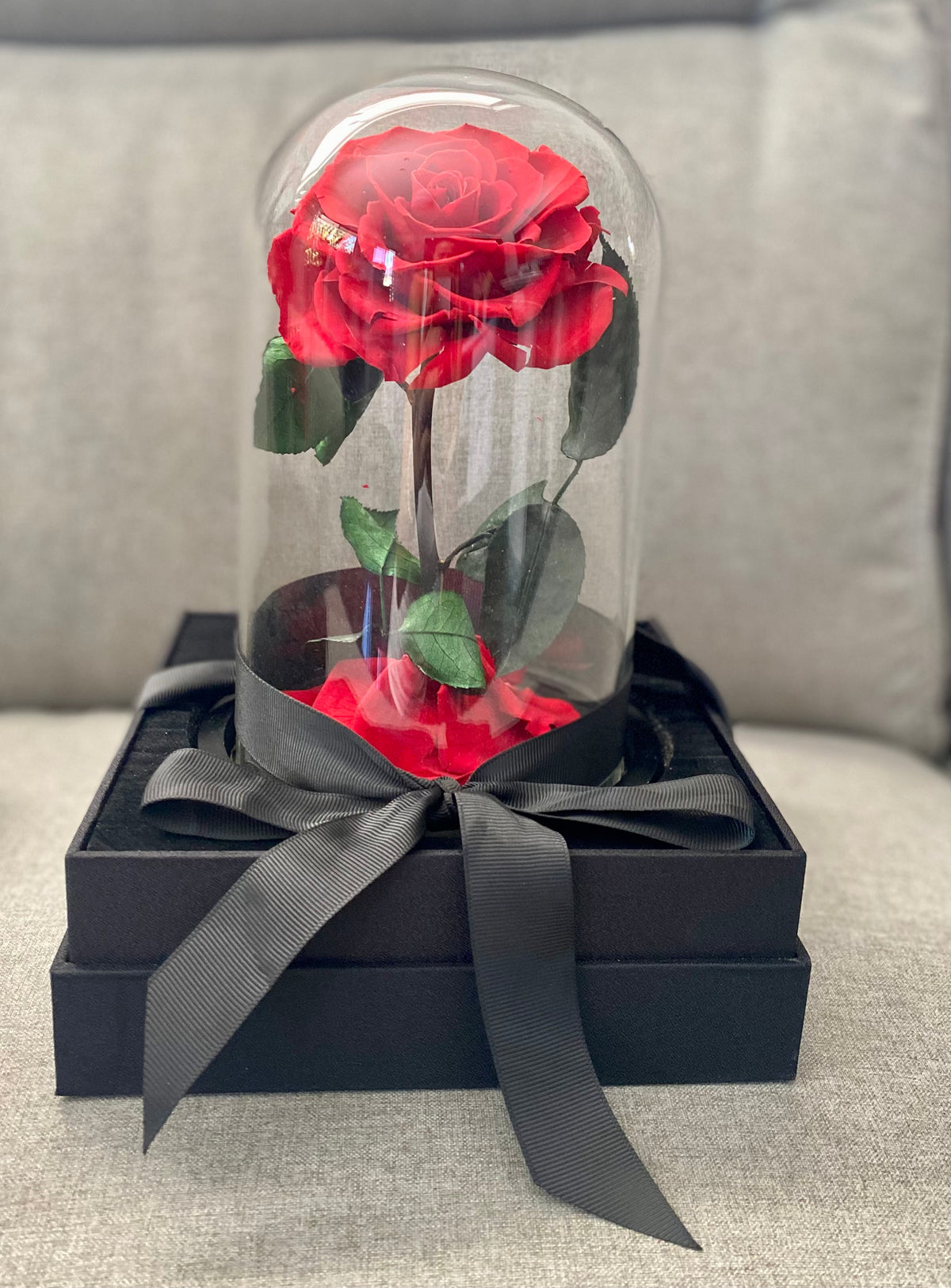 Everlasting Rose Dome featuring a single preserved red rose displayed under a clear glass dome, approx. 18cm tall.